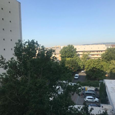 Pillango Parki Kis Lakas 15 Percre A Belvarostol Budapest Eksteriør bilde